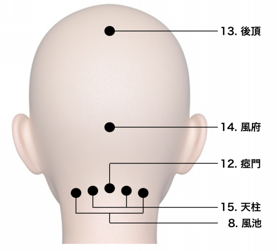 頭皮のツボ | JITA