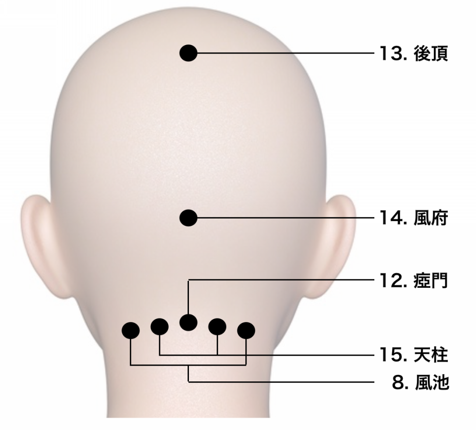 頭皮のツボ | JITA
