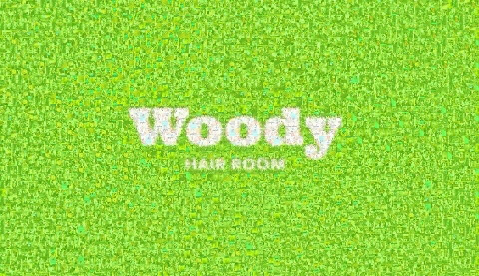 Woody HAIR ROOM