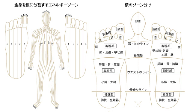 足揉みからリフレクソロジーへ アン リカン ヘルシーフットサロン