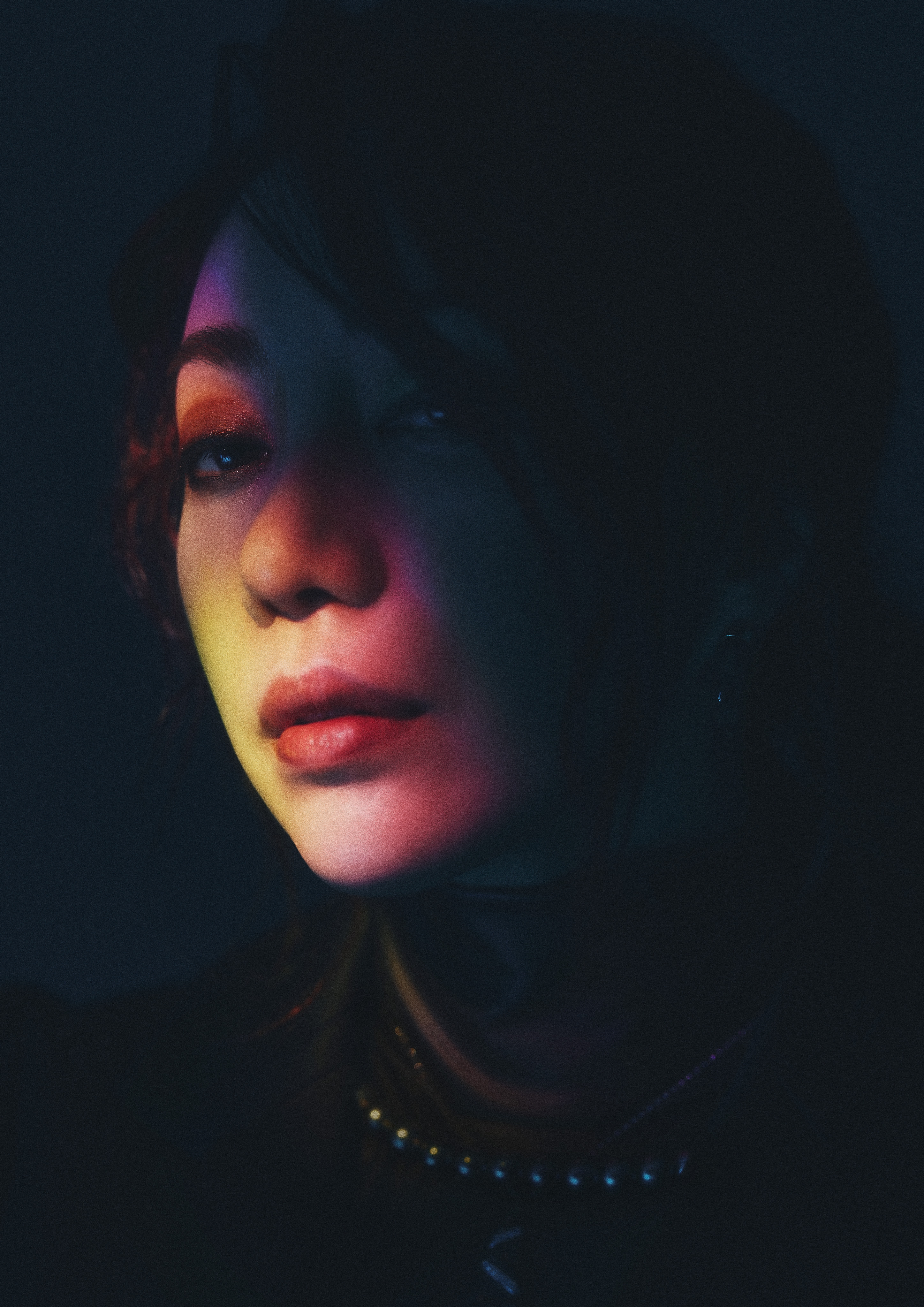 Introduction Trumpシリーズ最新作 ミュージカル ヴェラキッカ