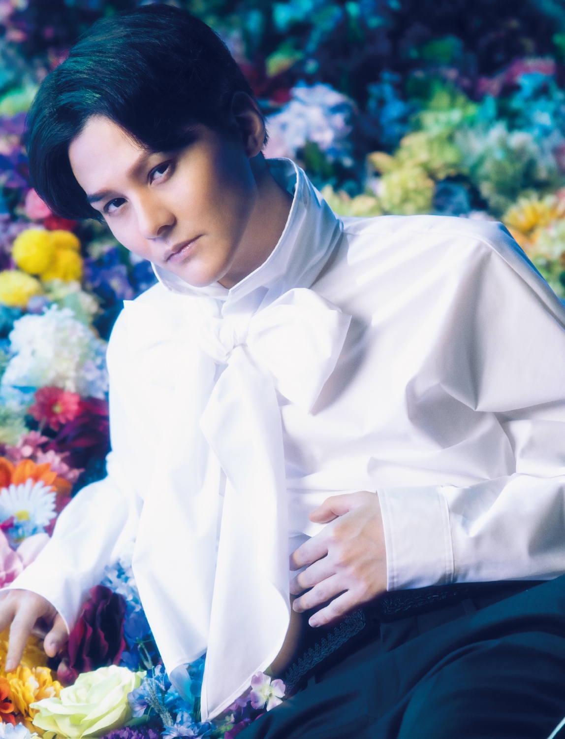 ミュージカル ヴェラキッカ 豪華版〈初回限定・2枚組〉 Blu-ray