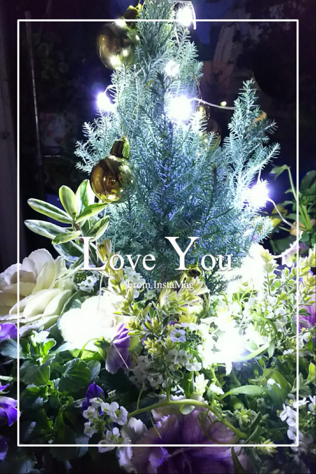 ギャザリング 寄せ植え Asami S Room ギャザリング 寄せ植え Asami S Room