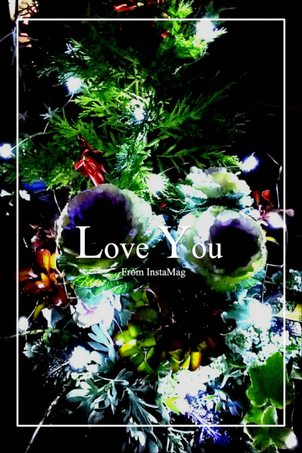 ギャザリング 寄せ植え Asami S Room