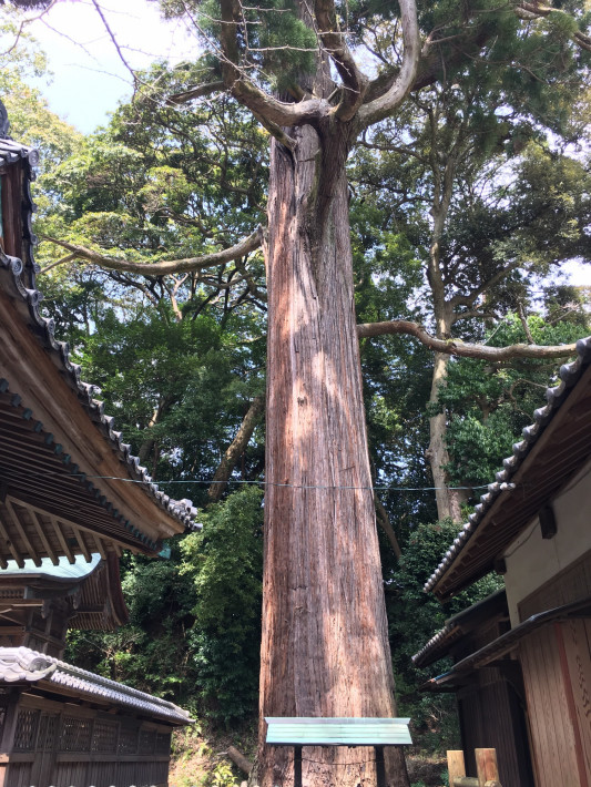 パワースポット 掛川市 事任八幡宮 Smile先生の チャンネル