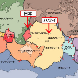 18年01月の記事一覧 へなしゅん ぶろぐ