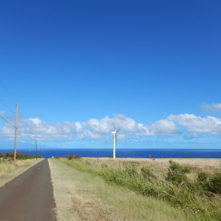 ウポル空港へと続く道 へなちょこ・しゅん／ハワイ生活20年、脳腫瘍&癌、人生盛り沢山