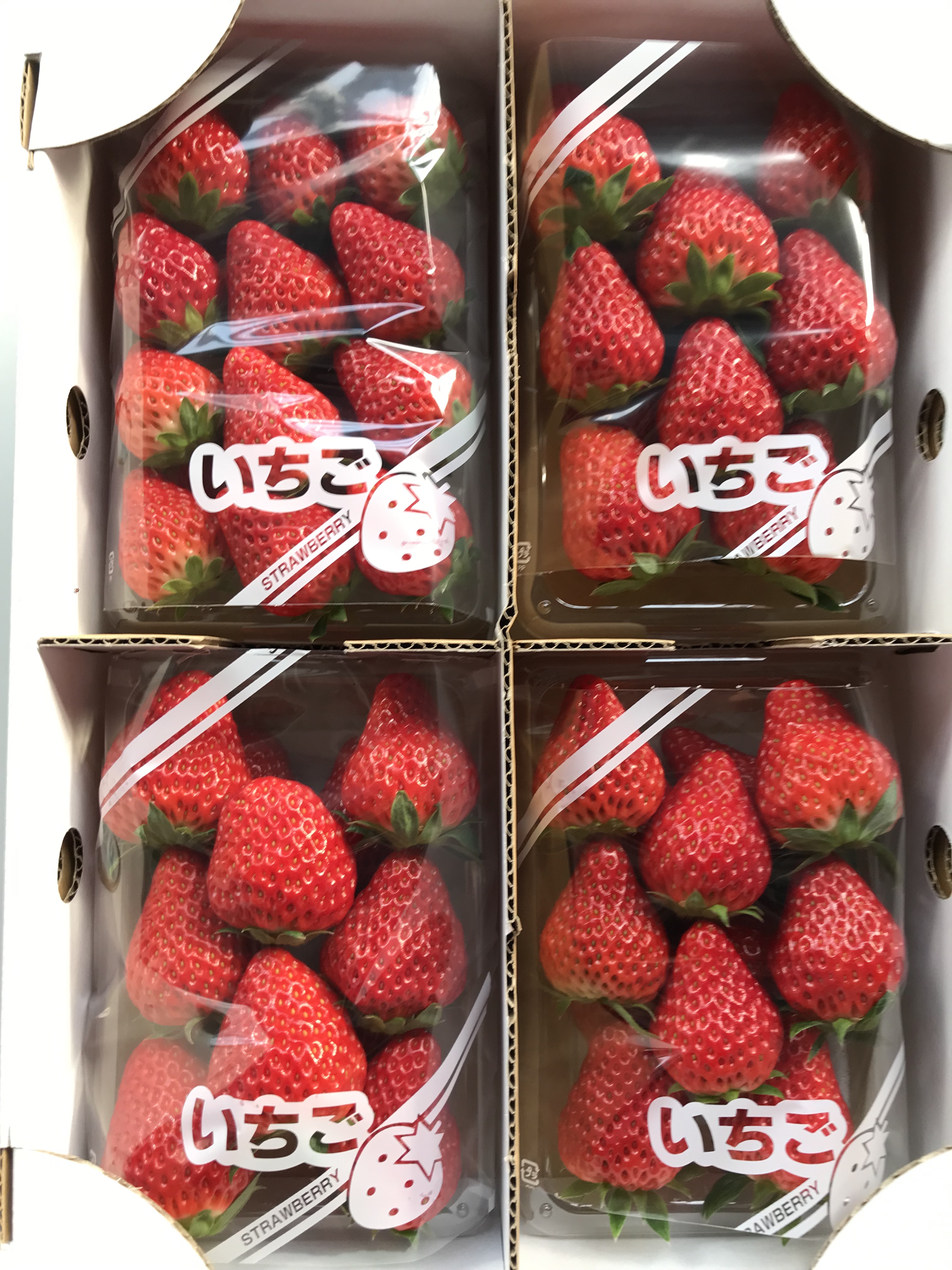 川内ベリーファームの外観