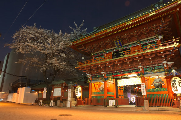 やはりホームタウンを攻めるべきでは 秋葉原夜桜 夜景散歩 せいぶつへいきと写真