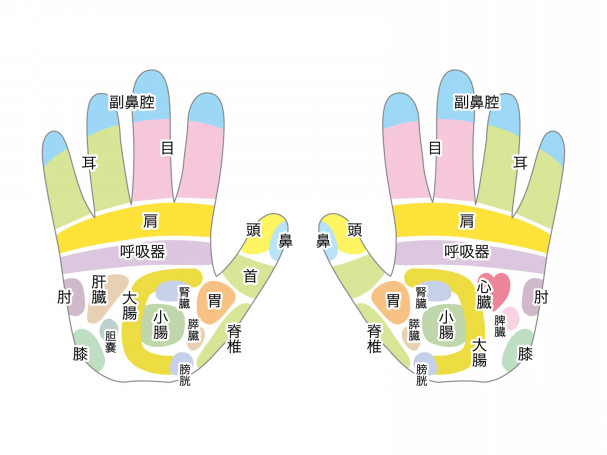 手の反射区 ツボを押して疲れ解消 30 40代大人女子通信health
