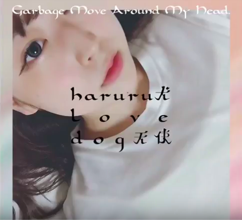 haruru犬love dog天使-