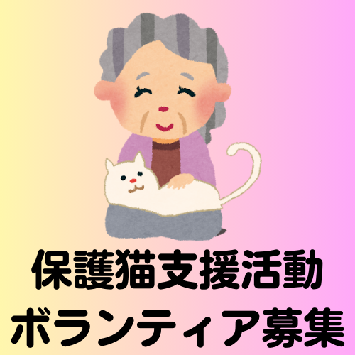 多賀にゃん