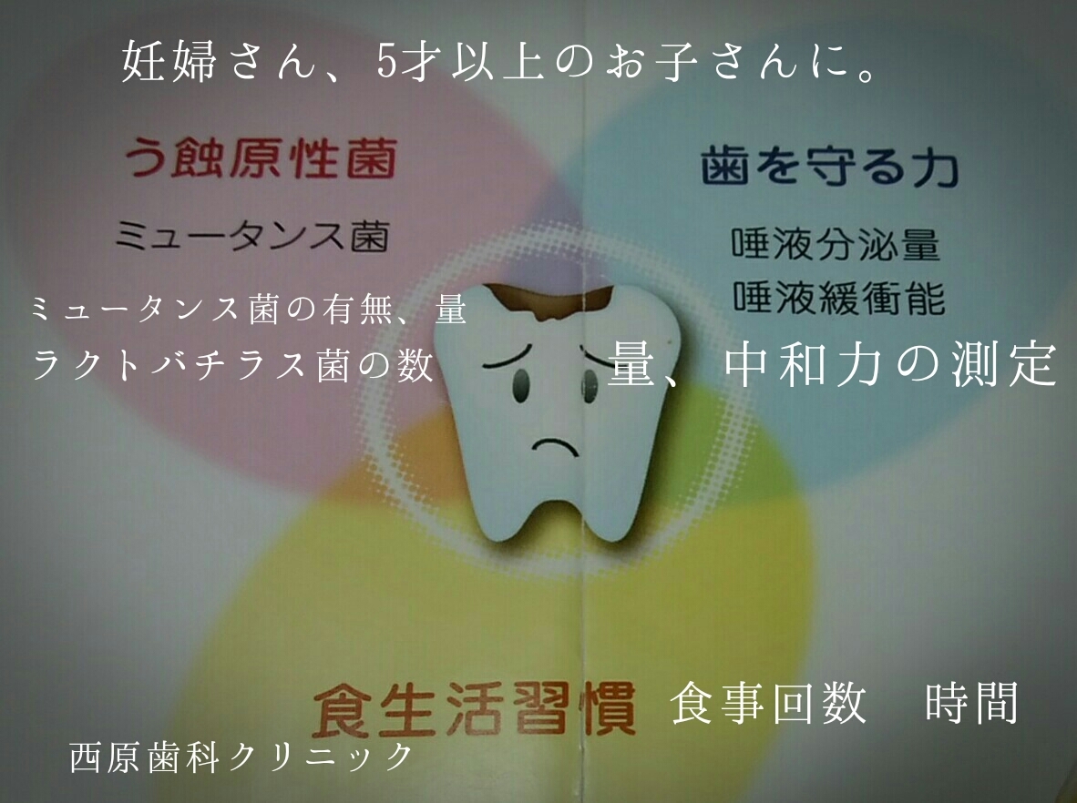 カイスの輪って何？ 新潟市西区小針の「優しい」歯科 西原歯科クリニック