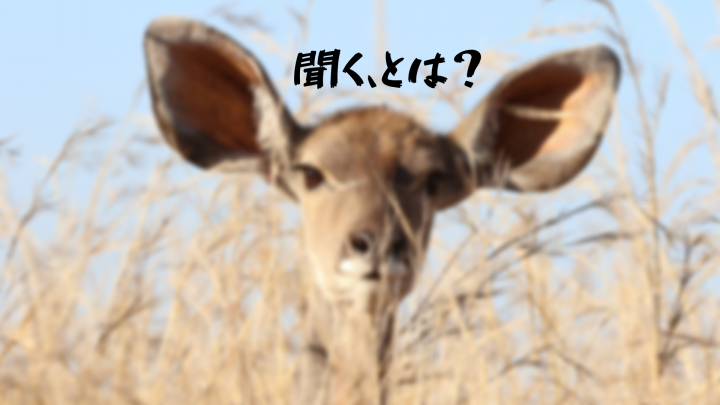 全力 とは 才能の出し惜しみをしない ということ 聞く とは 全力 とは 才能の出し惜しみをしない ということ 聞く とは