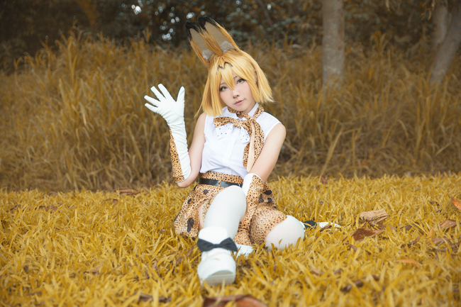 アニメ版『けものフレンズ』サーバルコスプレ変身～～ | cosyaya