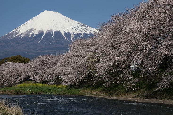 ZIPANG-6 TOKIO 2020 海抜0m からの挑戦！「富士山登山ルート