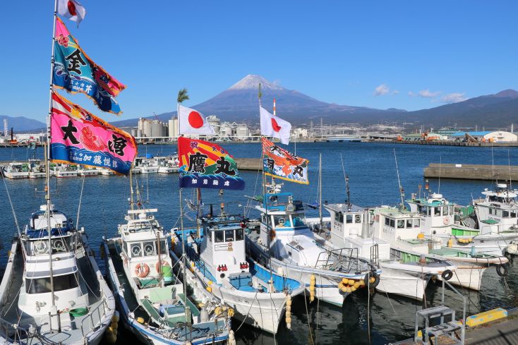 日本風景6 ZIPANG-6 TOKIO 2020 海抜0m からの挑戦！「富士山登山ルート