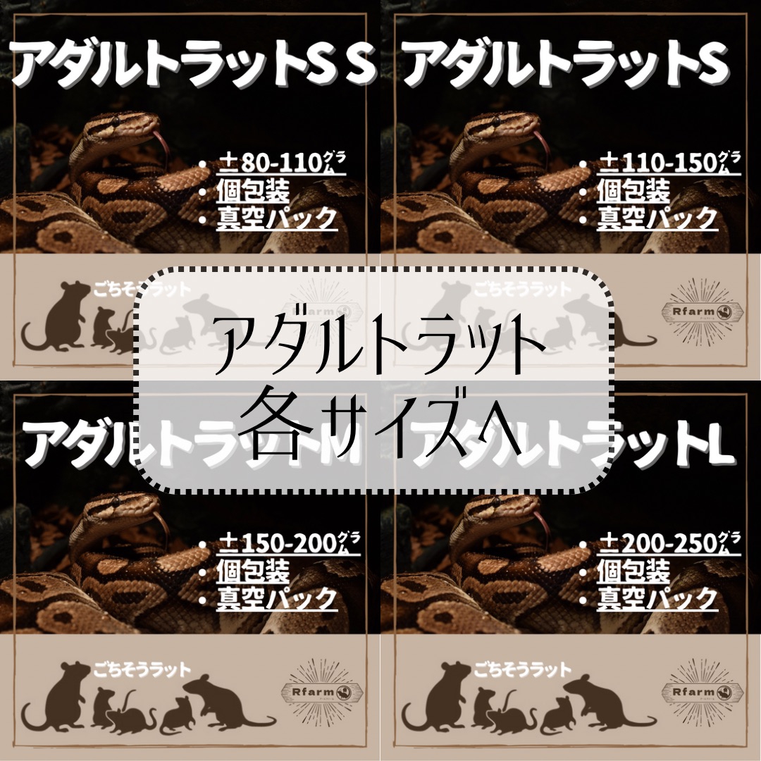 ◇Shopping◇ | 冷凍ラットRfarm