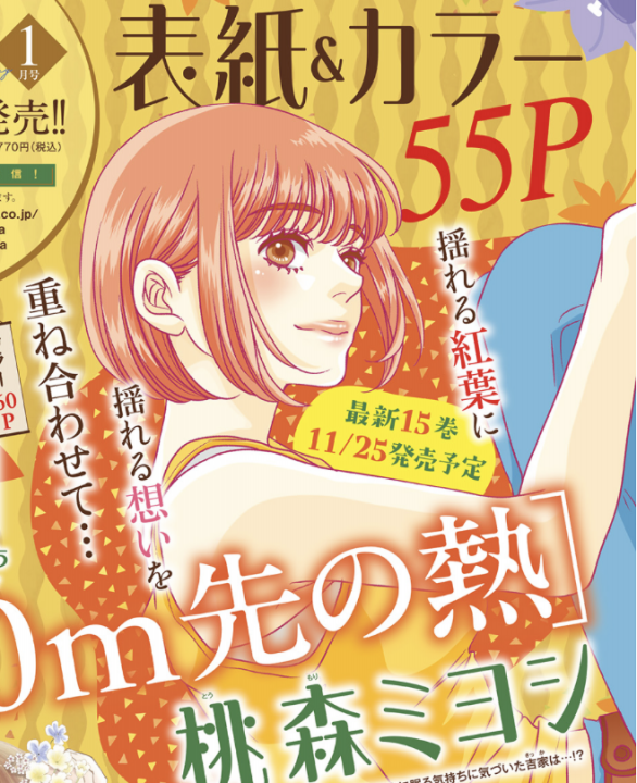 マルチン 新家庭百科事典全13巻 マルチン 新家庭百科事典全13巻