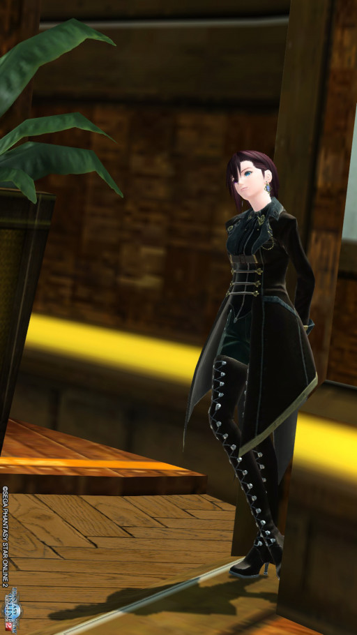 ｐｓｏ２ 月夜に誤爆