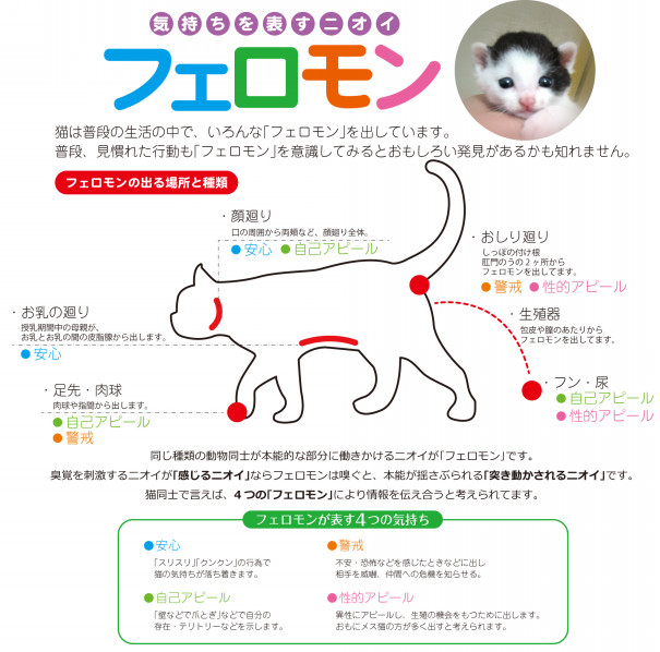 Blog I Love Pet Atelier Mw S