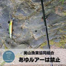 お知らせ 岐阜 美山漁業協同組合