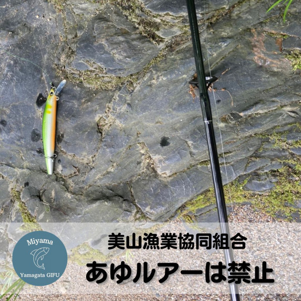 あゆルアー禁止 岐阜 美山漁業協同組合 あゆルアー禁止 岐阜 美山漁業協同組合
