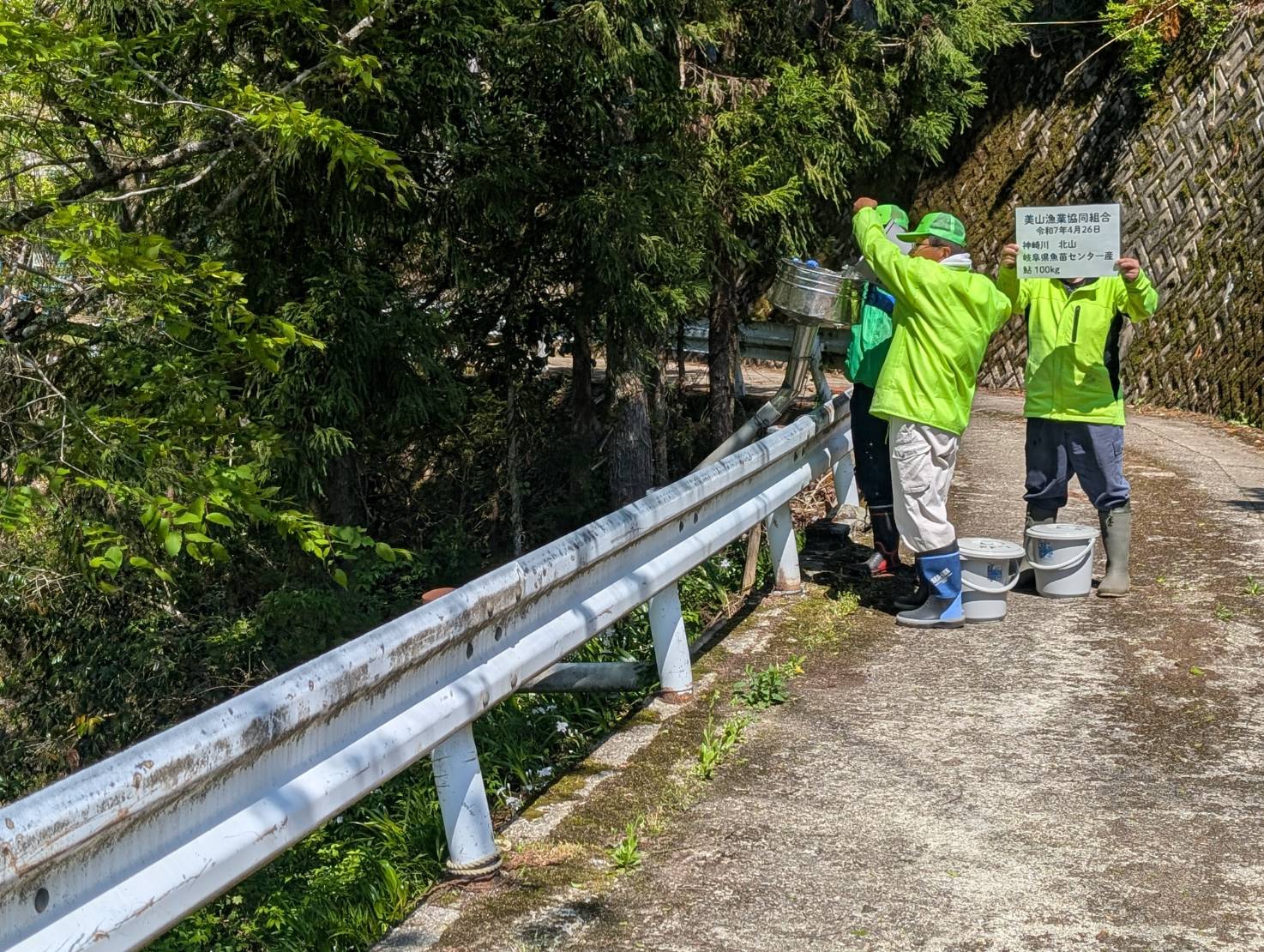 2025鮎解禁日は6/8(日) | 美山漁業協同組合