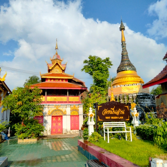 タイ（5）チェンマイ 猫のいるお寺 | 微小藻亭日乗