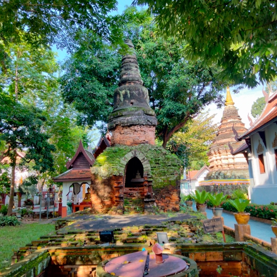 タイ（5）チェンマイ 猫のいるお寺 | 微小藻亭日乗