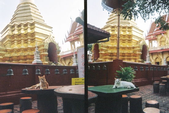 水彩画　タイ　チェンマイ　 お寺 SHO お寺 水彩画 SHO タイチェンマイ - メルカリ