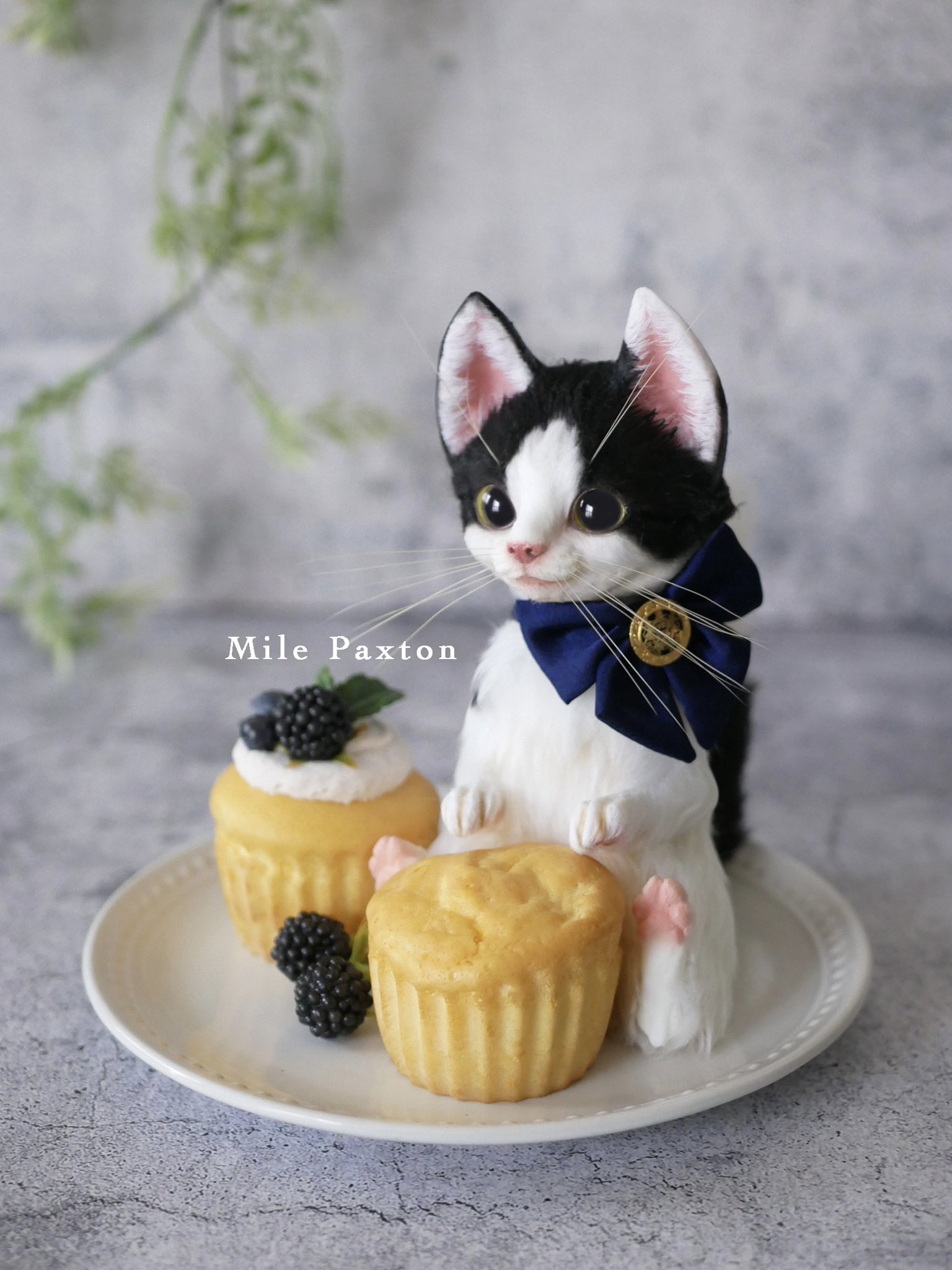 新着作品 | FANTANIMA! in KANSAI