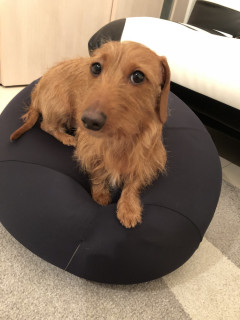 岡田実音 おかだみお