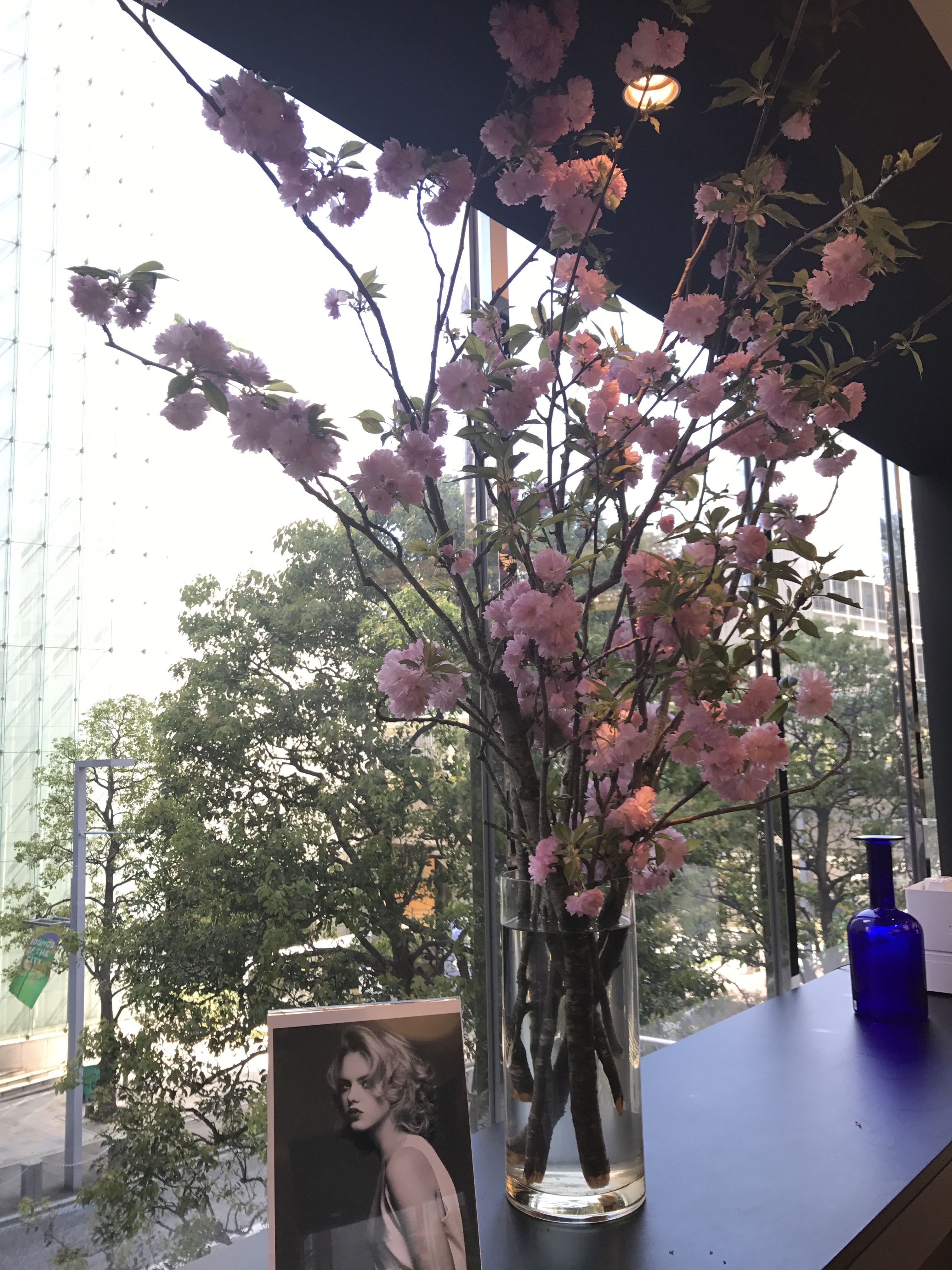 新年度 Massato Paris Roppongi Hils Staff Blog