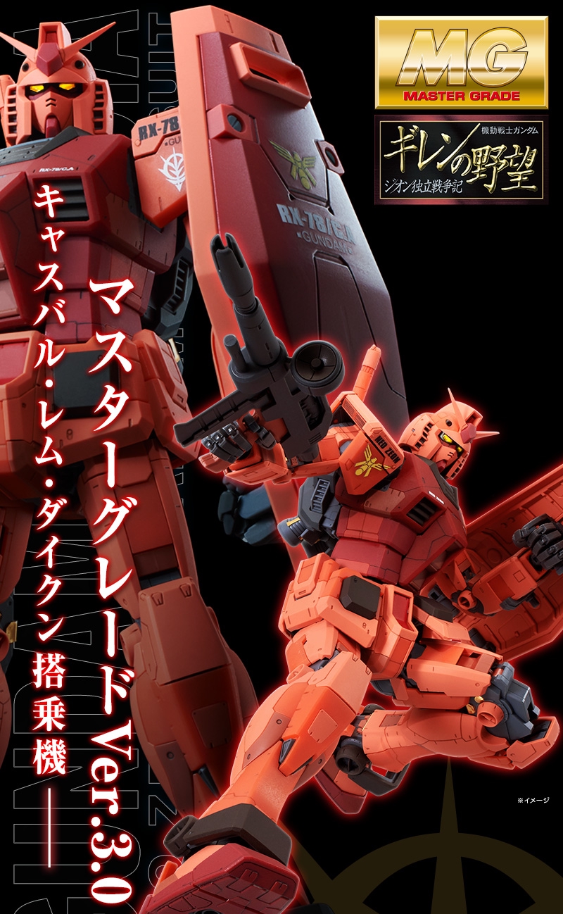 ひな様専用】MG キャスバル専用ガンダム Ver.3.0&ガンダムエクシア