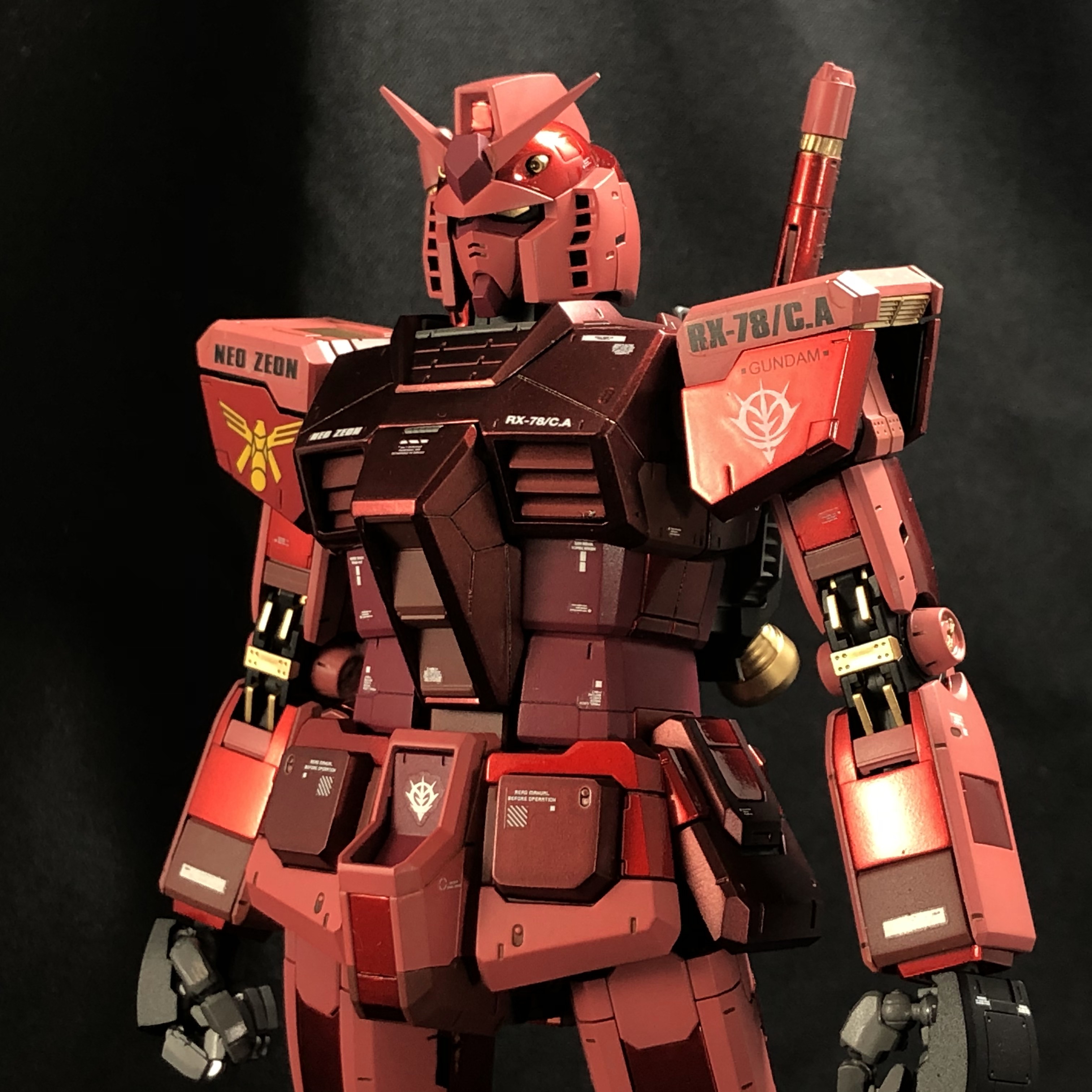 MG キャスバル専用ガンダムver.3.0 | モケモケ釣り釣り