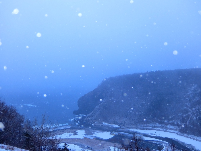 雪と霧、新緑色に茜が差す。 | 風を聴く森*知床ぶろぐ
