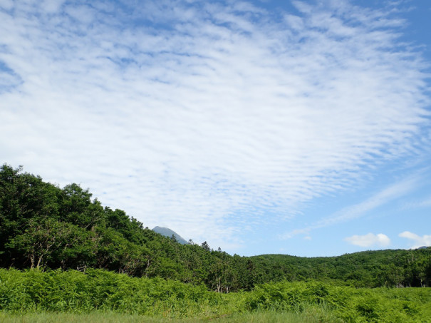 天気 予報 知床