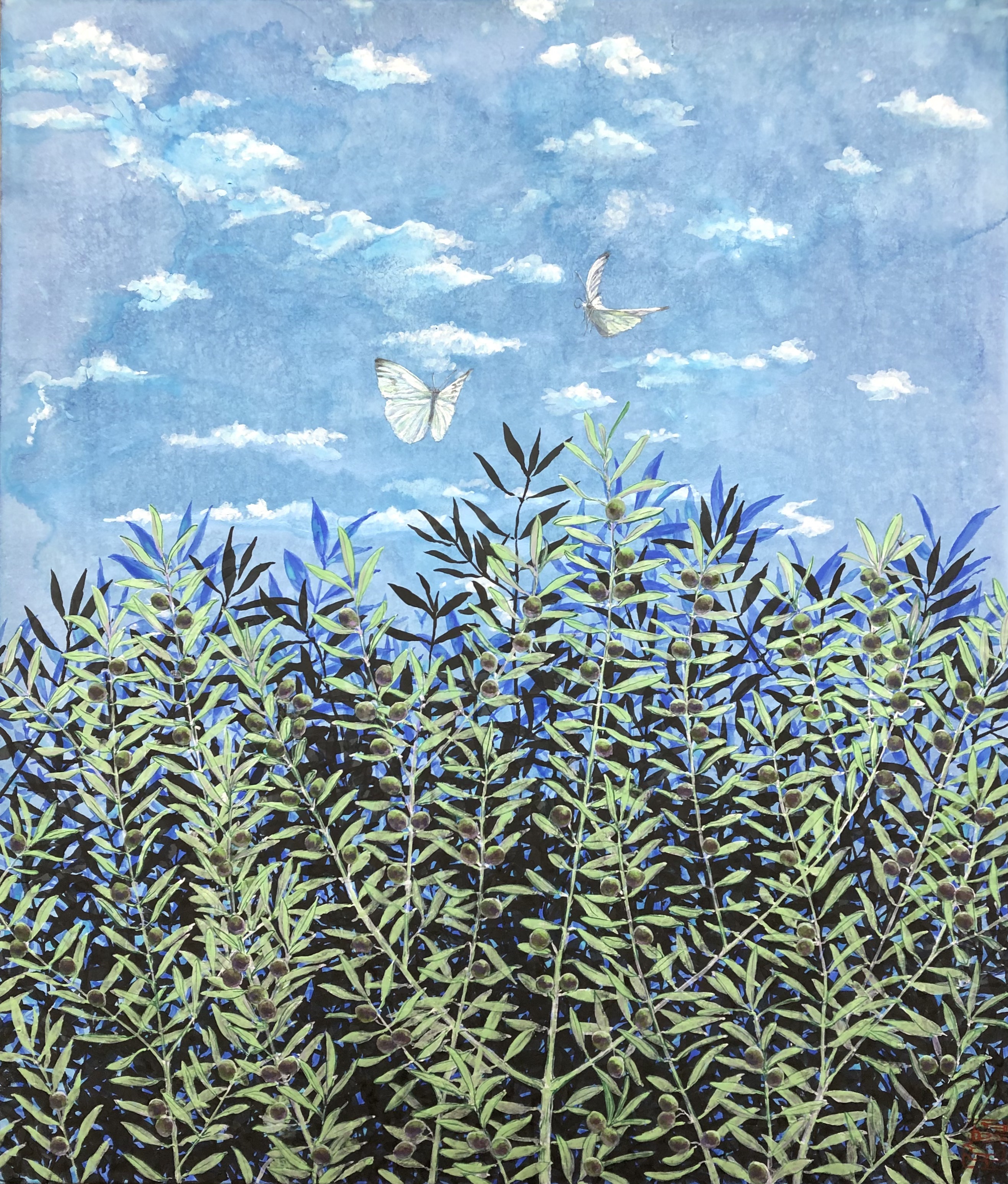 Gallery | 絵画教室アトリエM（横浜市神奈川区） 藤咲揚子