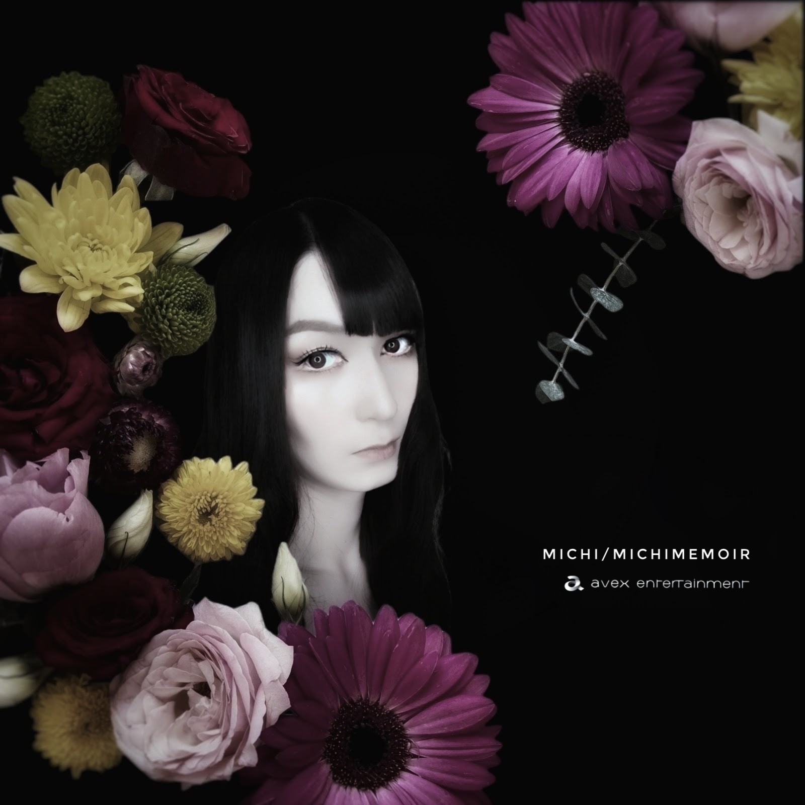 PROFILE | Michi Official Web Site