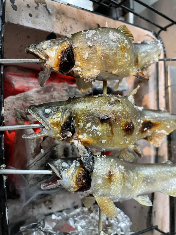 仁淀川天然鮎 新居浜 花山椒