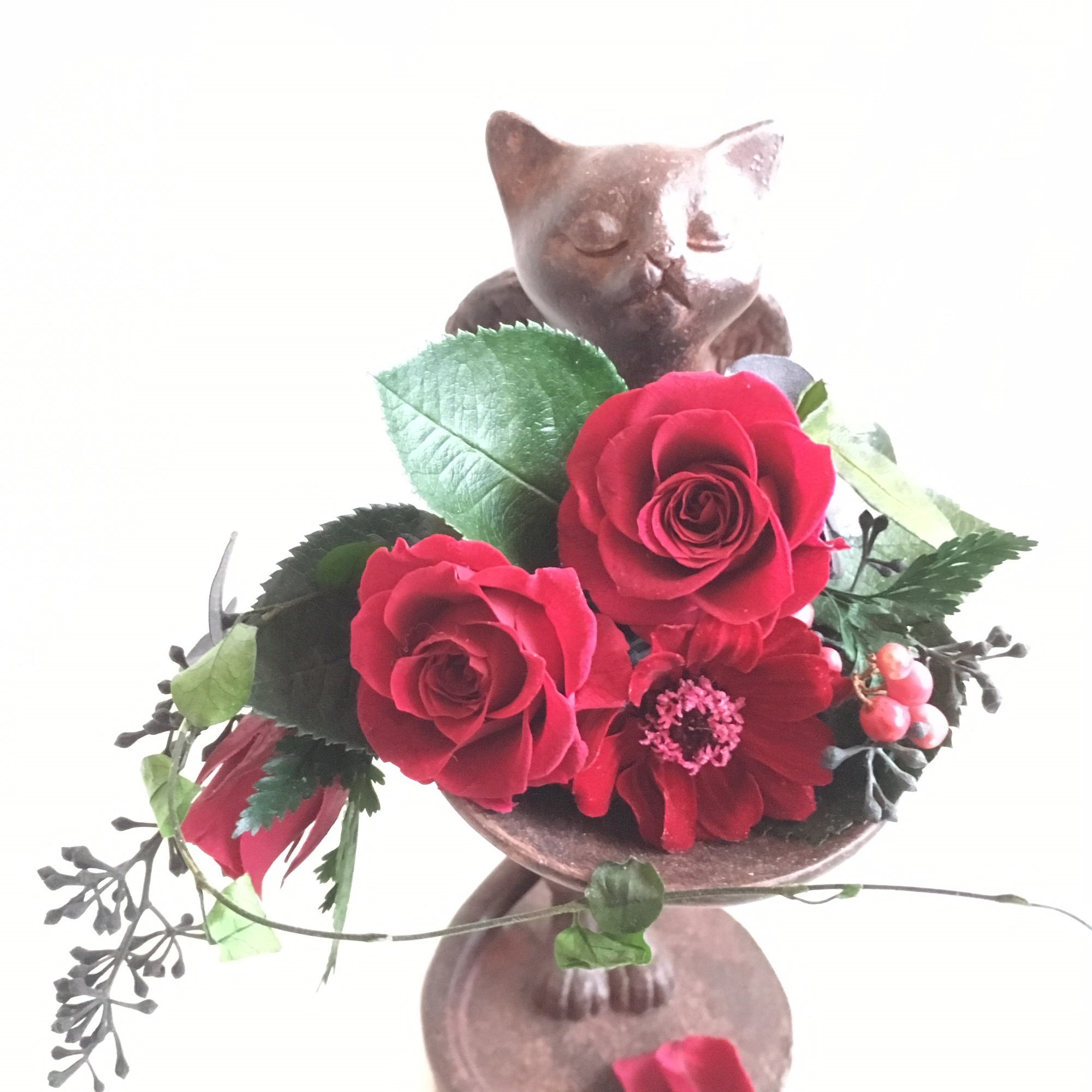 ねこ+プリザーブドフラワー | Shuzuku flowershop