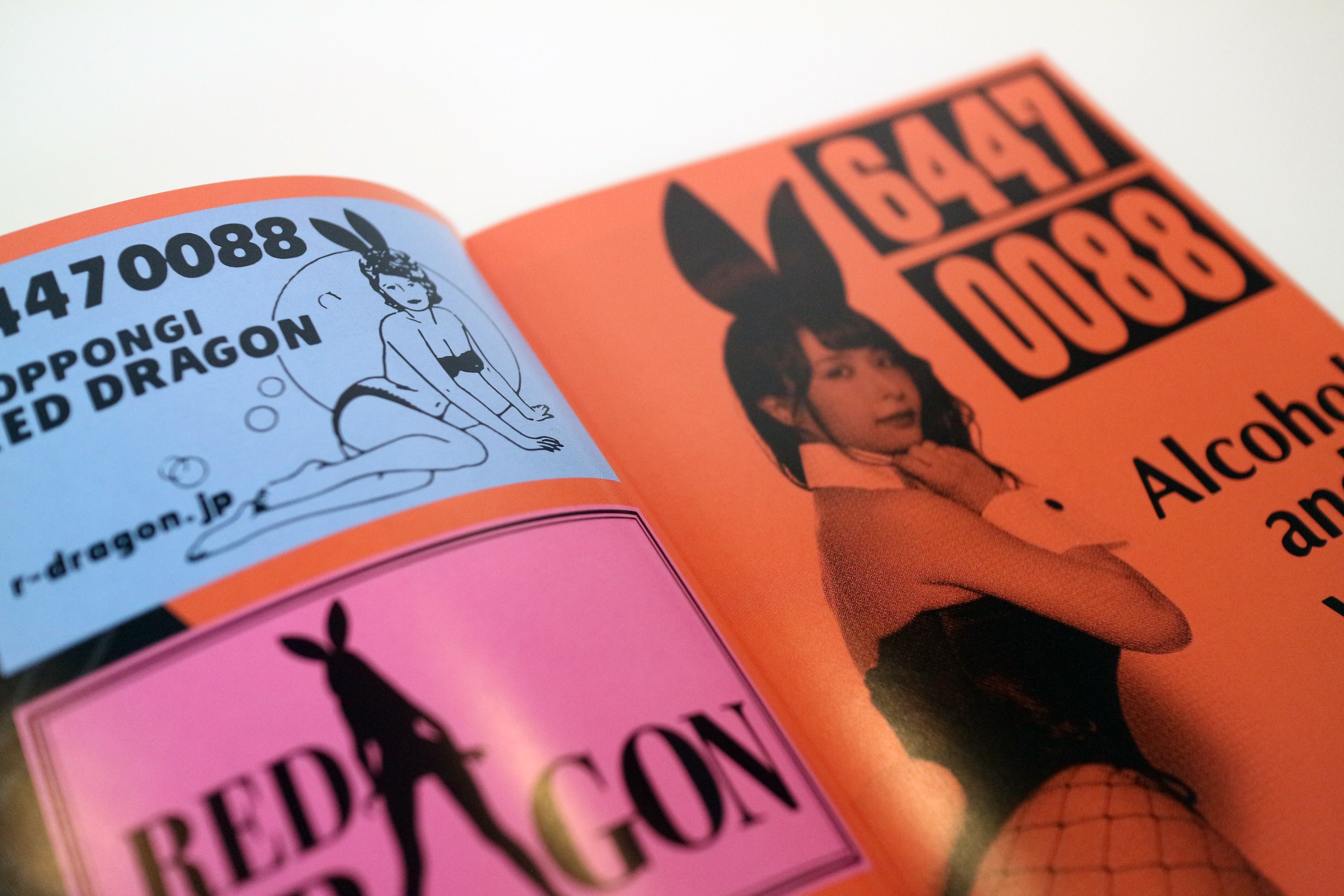 卸売り本・雑誌・漫画 - Rankins Cheeky アート写真集 大型本