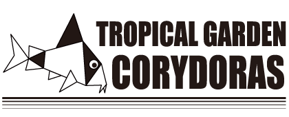 2023年07月の記事一覧 | TROPICAL GARDEN CORYDORAS