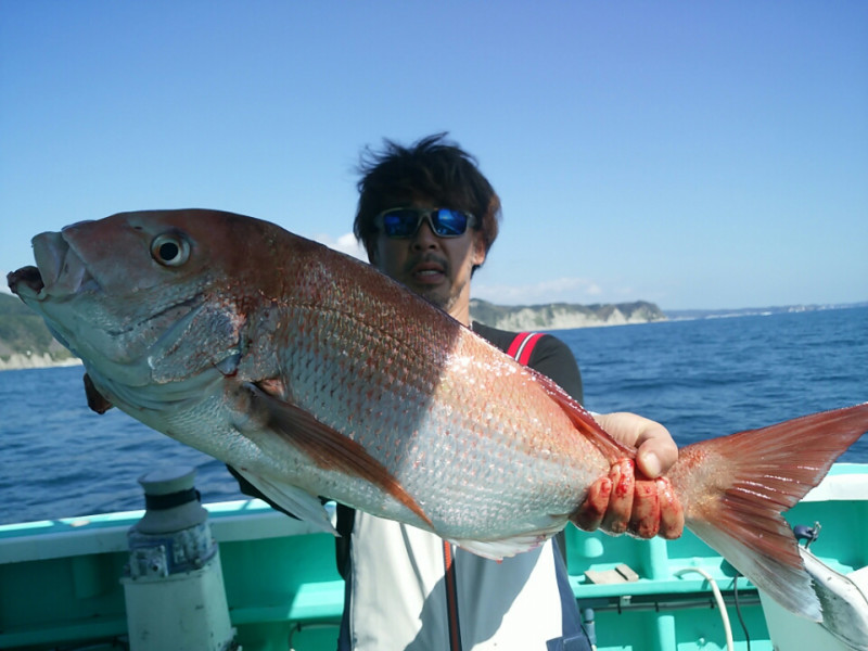 コマセで ヒラマサ マダイ が釣れました 横浜 美容師 釣り日記 Ownd