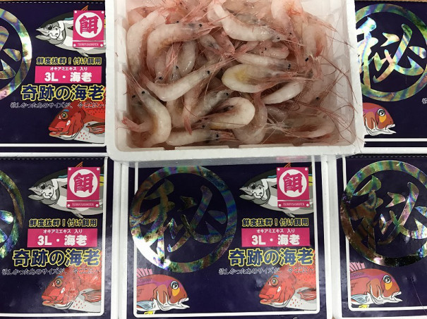 コマセマグロの餌と針 横浜 美容師 釣り日記 Ownd