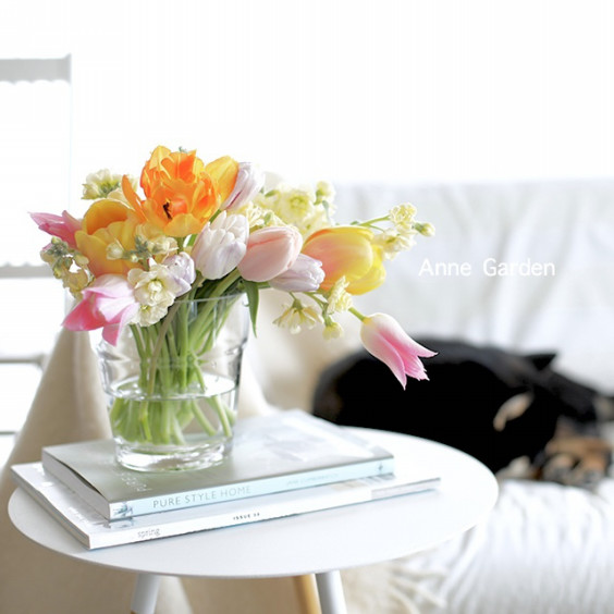 カラフルチューリップとストックの花束 少なめの水で 花瓶の水はいつも清潔に 花と犬のbonne Idee