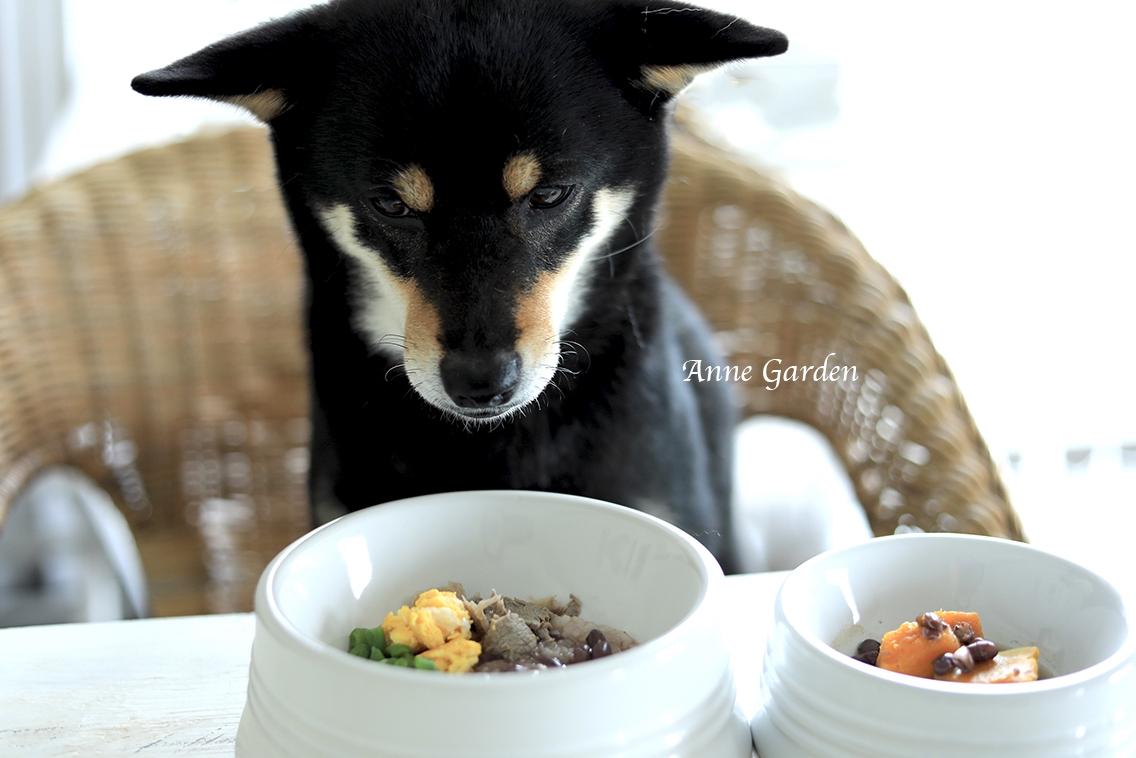 小豆ってすごい 甘くない茹で小豆を愛犬のご飯に応用 花と犬のbonne Idee