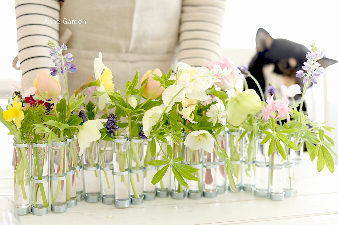Vase D Avril ツェツェの 4月の花器 で春の花をアレンジ 花と犬のbonne Idee