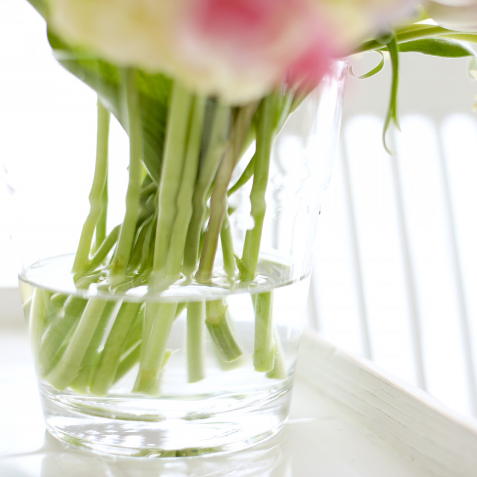 カラフルチューリップとストックの花束 少なめの水で 花瓶の水はいつも清潔に 花と犬のbonne Idee